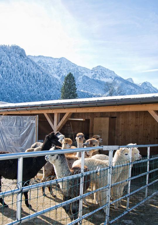 Restner Gasthof