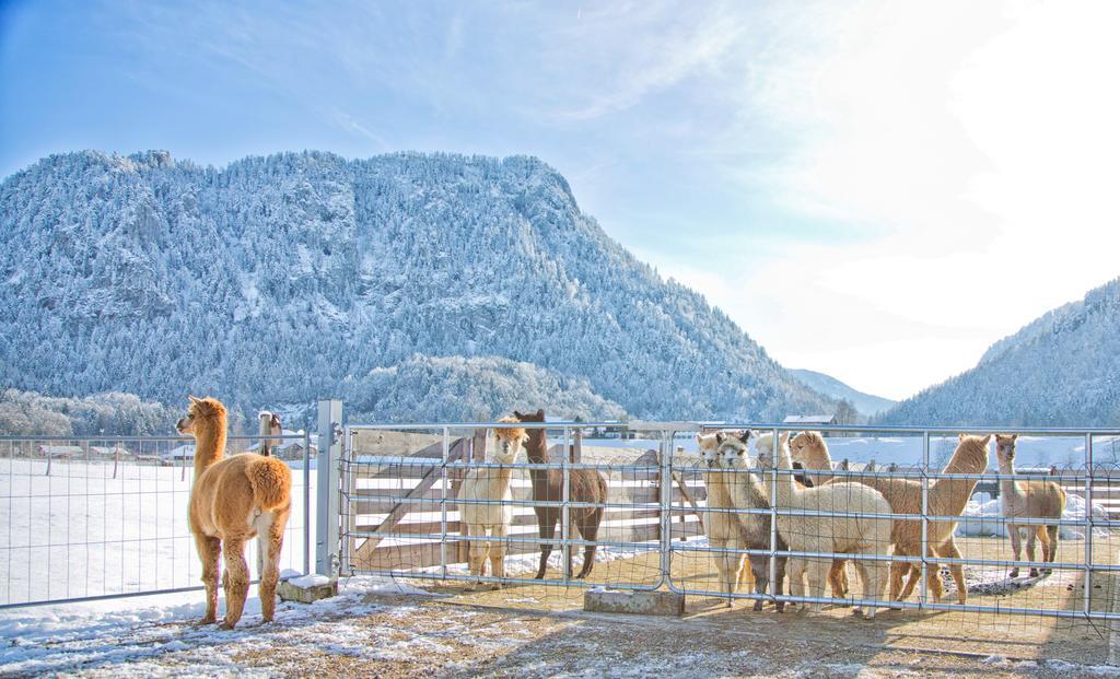 Restner Inzell